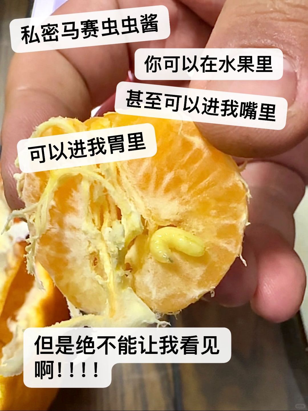 私密马赛虫虫酱