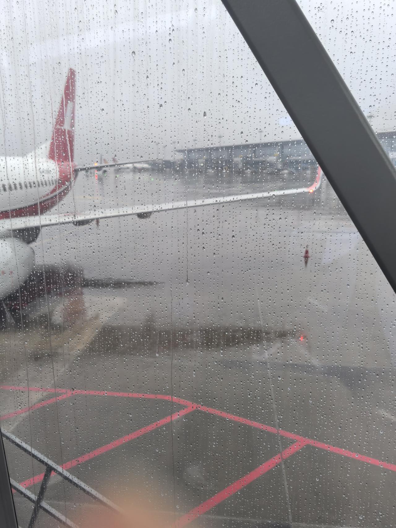 回家了。独自一个人第一次出行。
邻座一个年轻男子，他去上海杭州苏州出差回家。
他