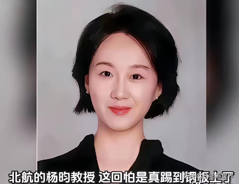 杨昀这个人说起来真的是一手好牌打得稀烂，清华本硕南洋理工博士，三十三岁就当上了北