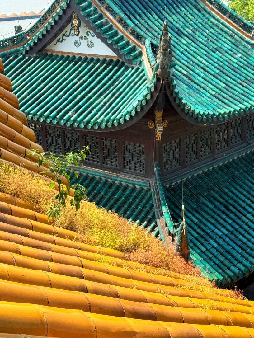 小时候背的《岳阳楼记》，今天终于见到本楼了。太晒，太热，影响我好好感受巴陵景观～