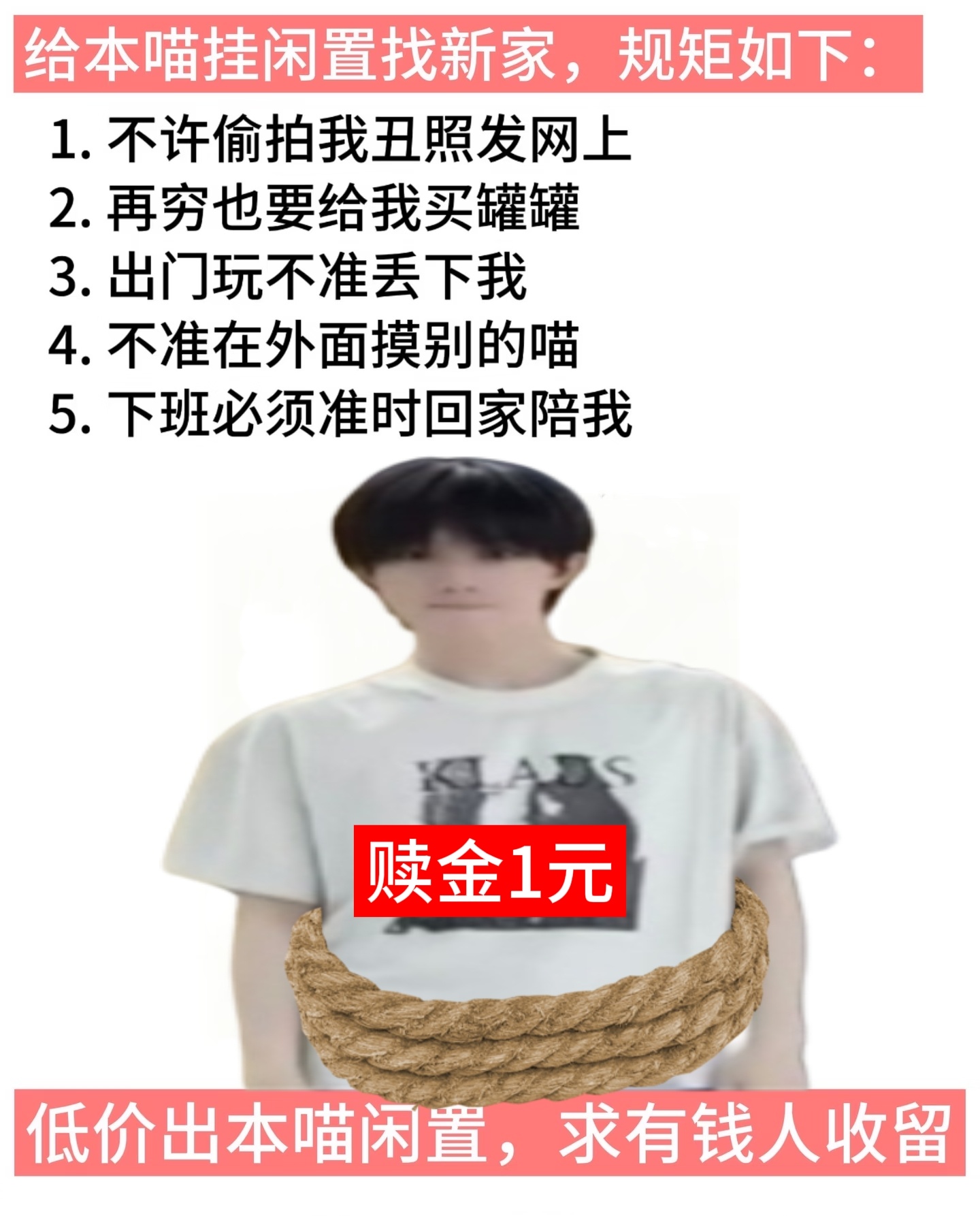 【5263】低价出饼咪闲置，等一个好心人 