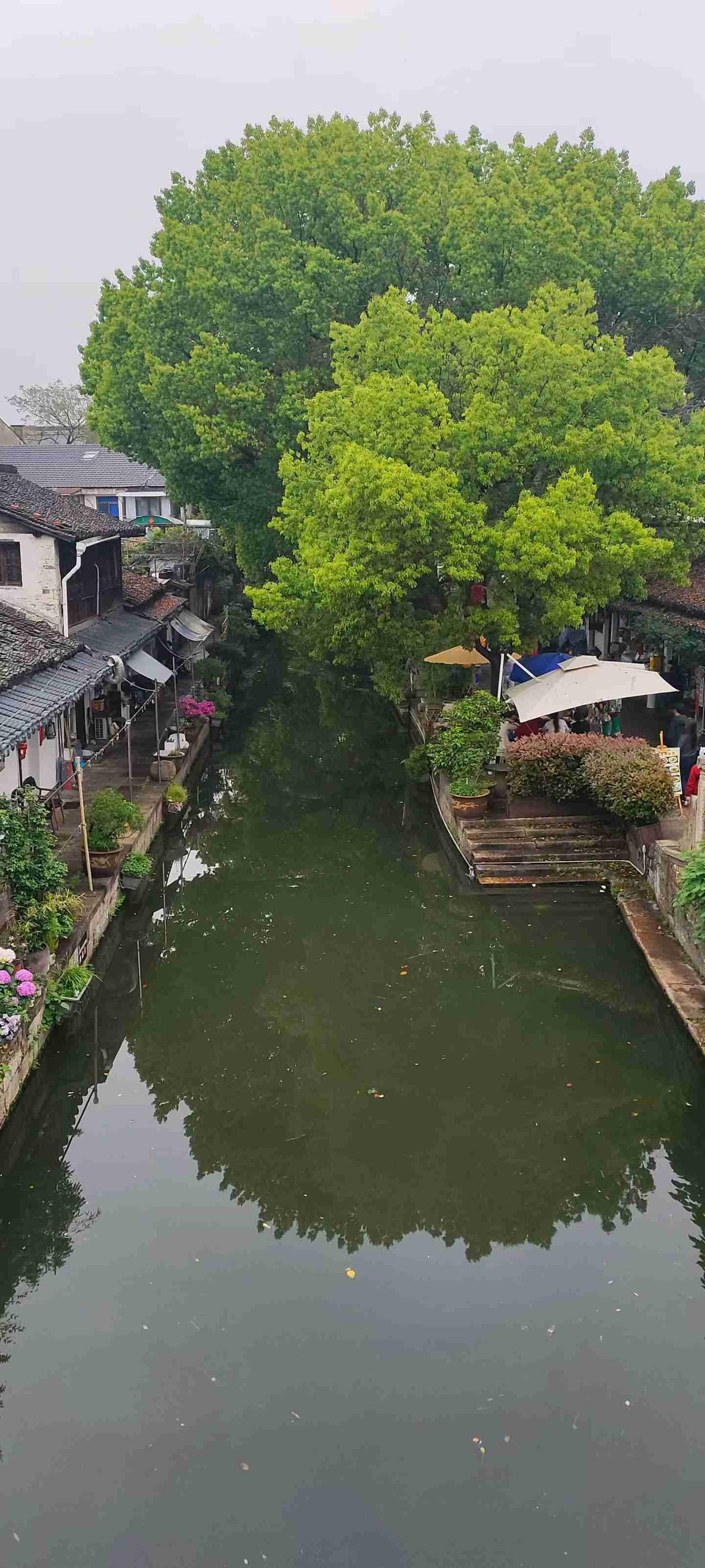 我的今日状态：😁轻松愉快
我这里的天气：☀️晴天
阿珍的生活有些不堪，看到村上