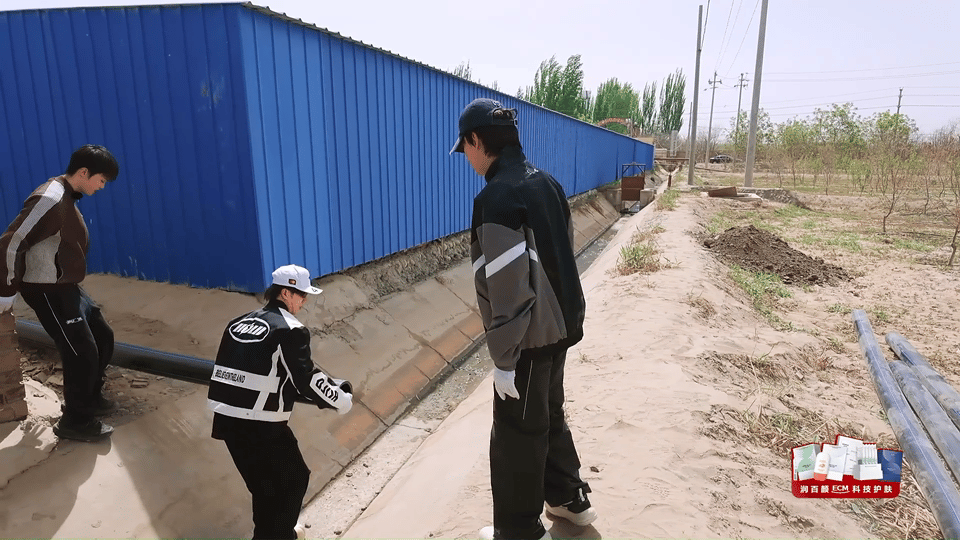 种地吧专挑苦地方去种地吧 连当地老人都认可的苦地界，十个勤天毅然扎根。推沙丘、修