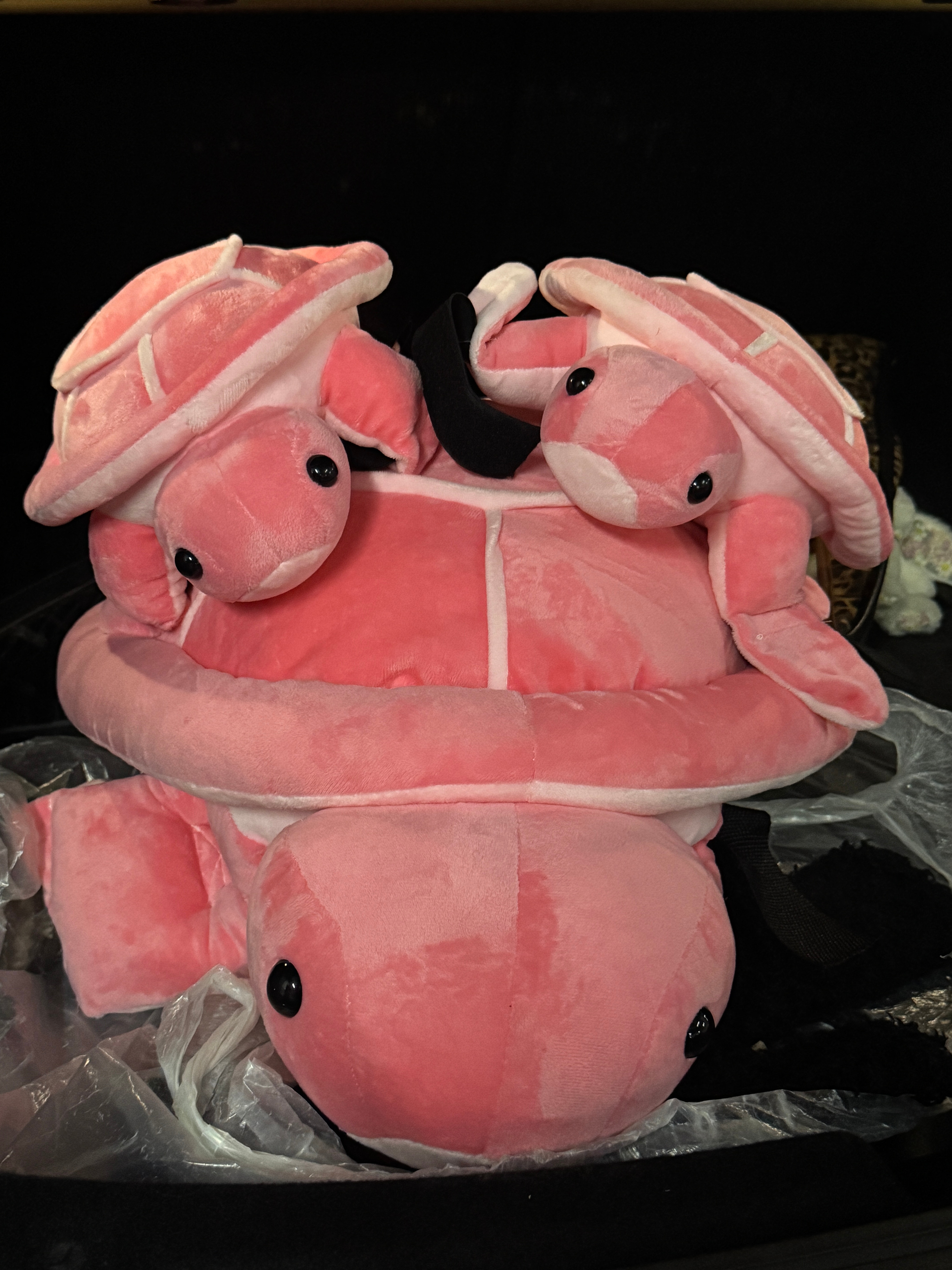 出发 猜猜我要去干嘛