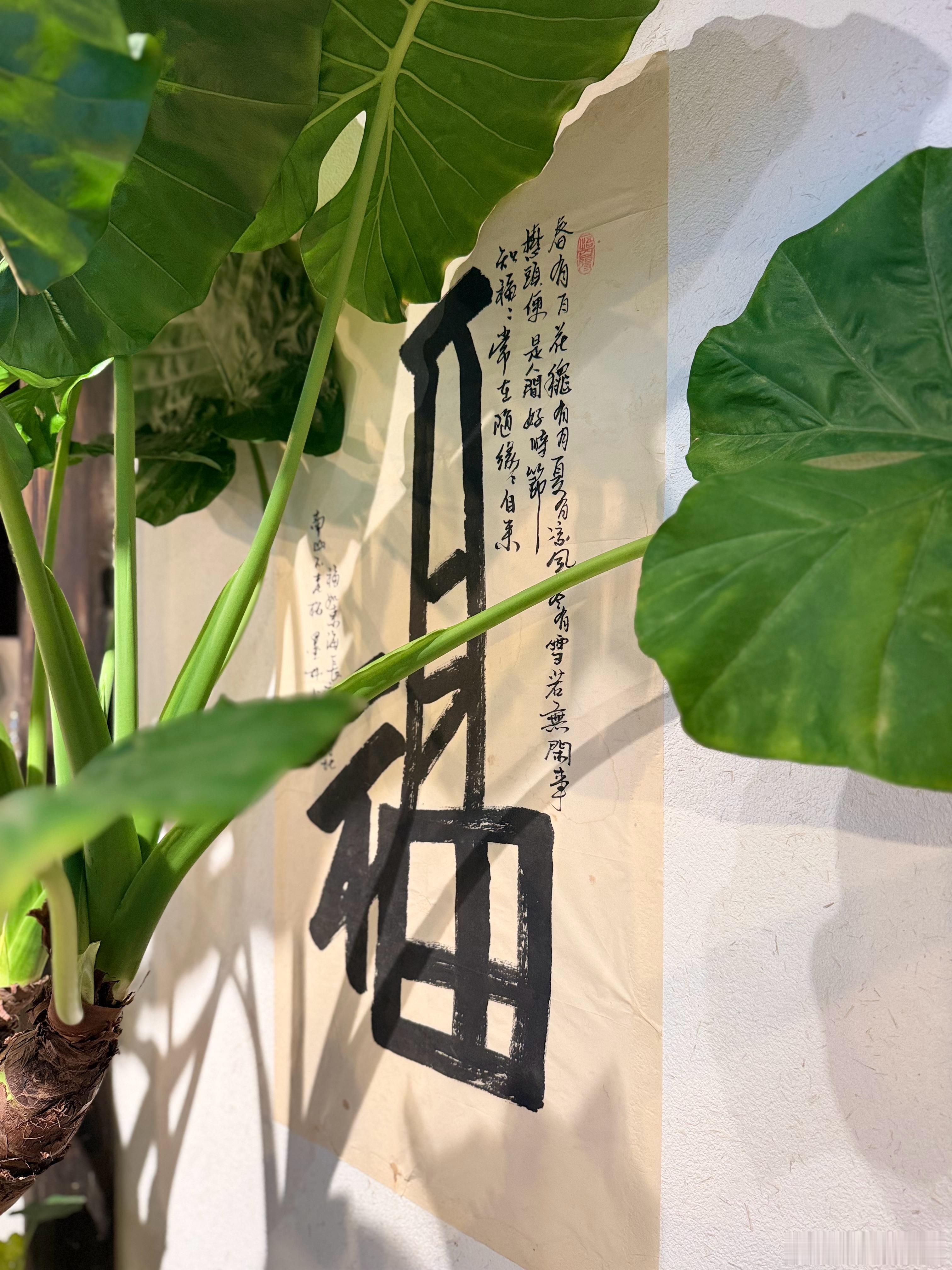 佛教  师父说：没有一个敌人在折磨你，真正折磨你的，是你自己。准确说，是你的念头