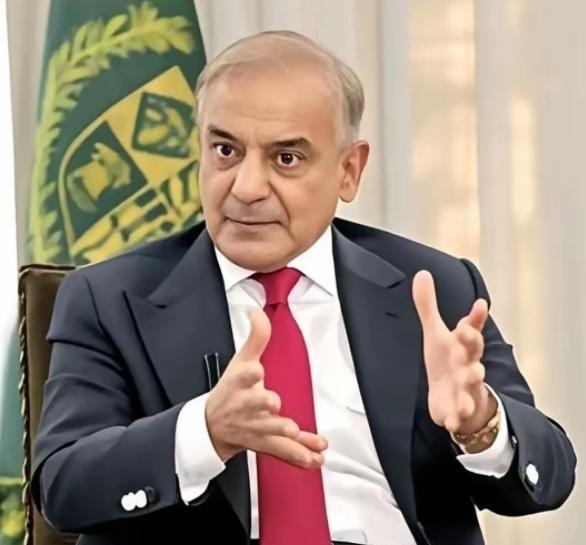 巴基斯坦押注美巴稀土合作想拿捏中国？错估稀土格局的小国，终将在大国博弈中自食恶果