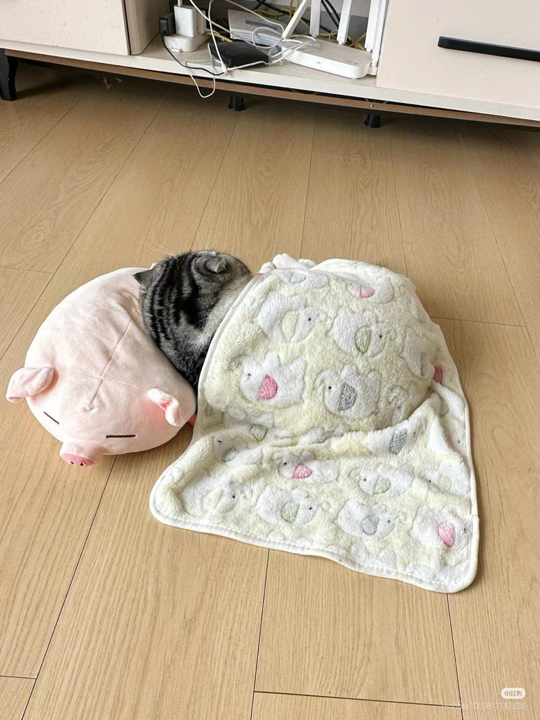 每到冬天就会觉得日韩的女生真的很抗冻 