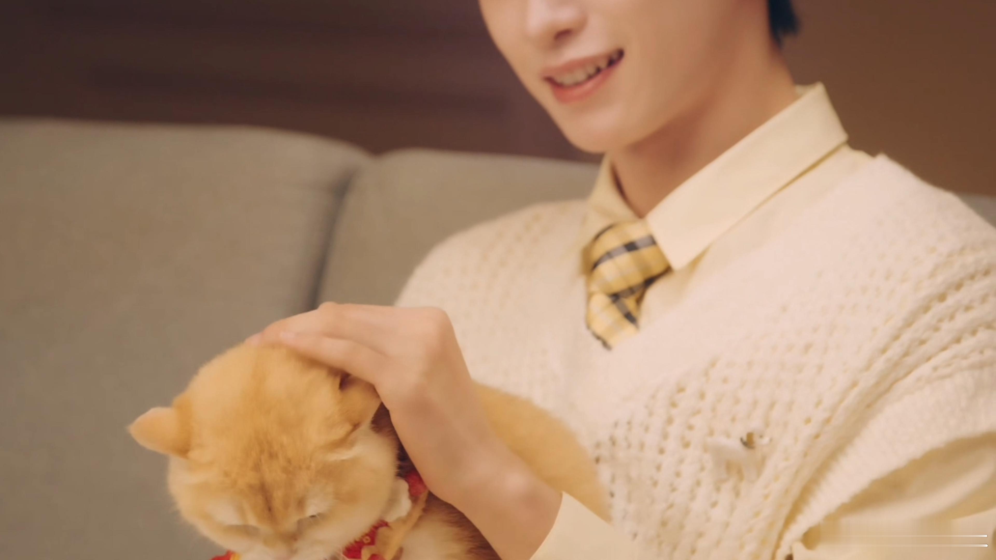 梓渝 网易严选 这世界上有最伟大的两只猫猫，谁懂梓渝和猫猫同框的含金量，小卷毛梓