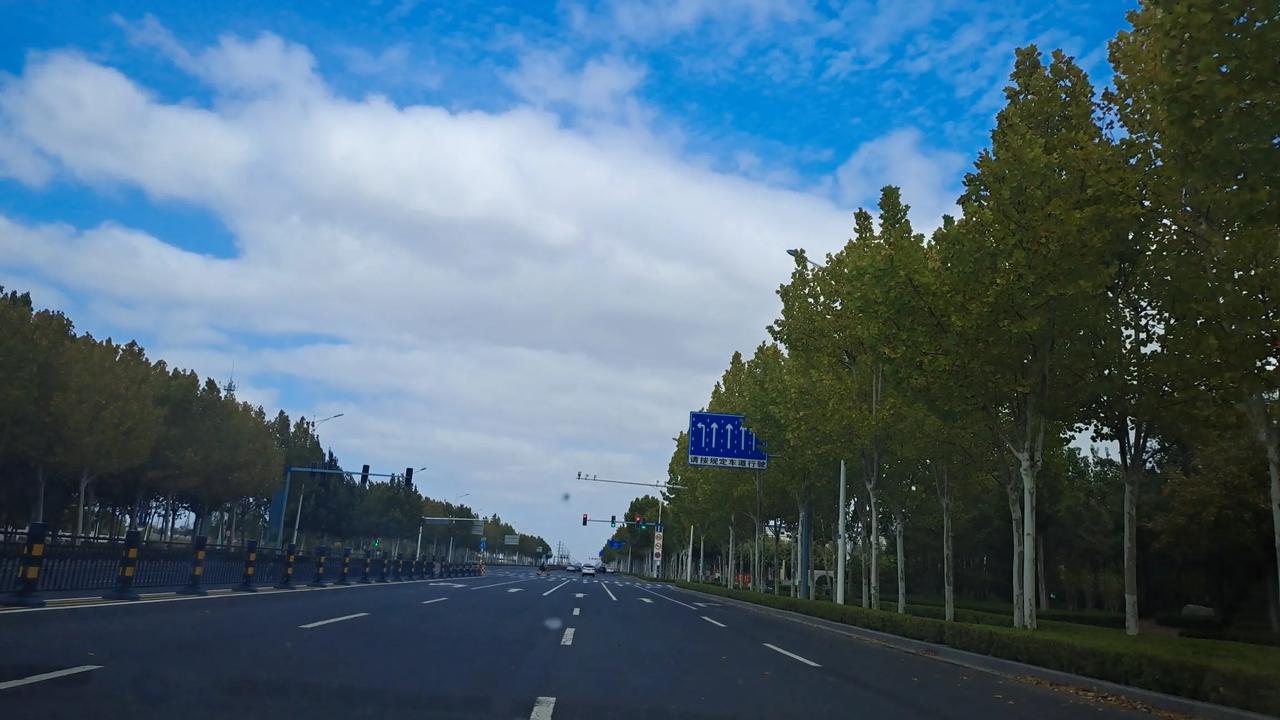 东营的秋天很美，正是遛娃的好时节！


带着孩子随便去个大公园，放出去让娃们或去