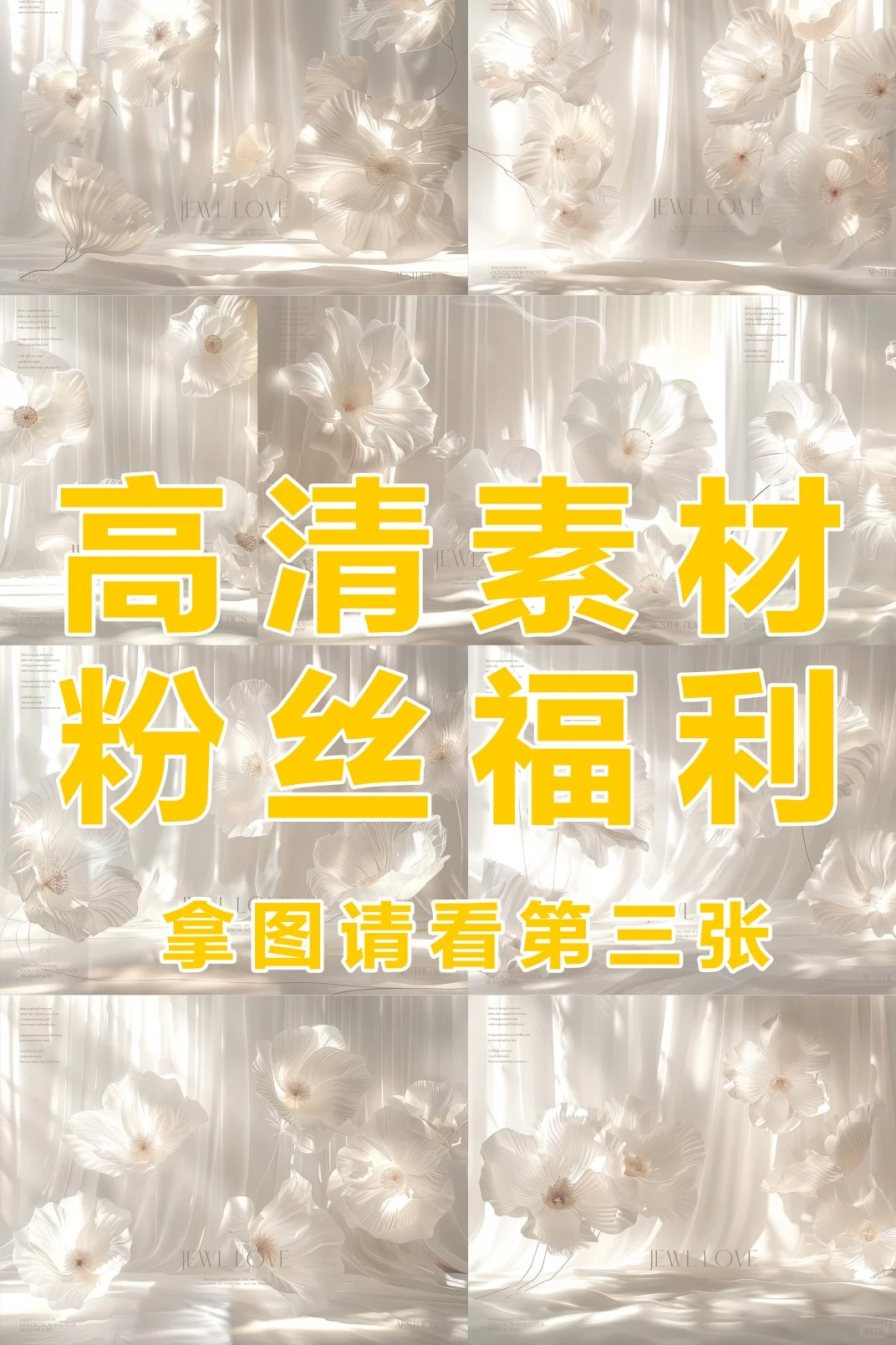 高清素材分享