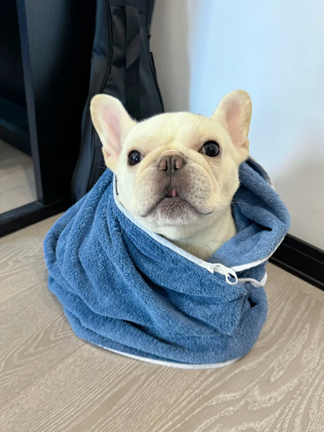 可以帮我关下窗户吗？好冷🥶