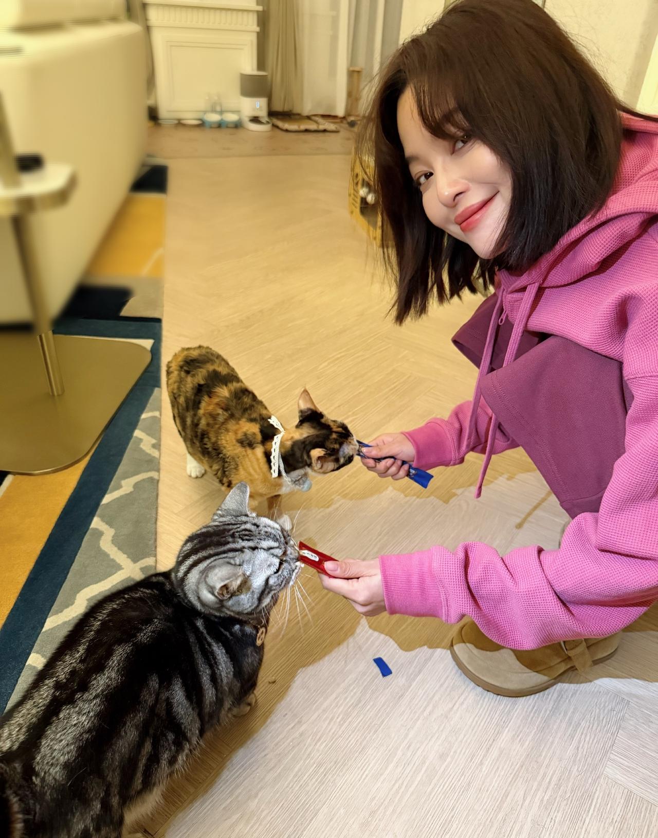 辛芷蕾养的猫是什么品种
样子好可爱，毛色好美
让人看了爱不释手……

猫可爱，人