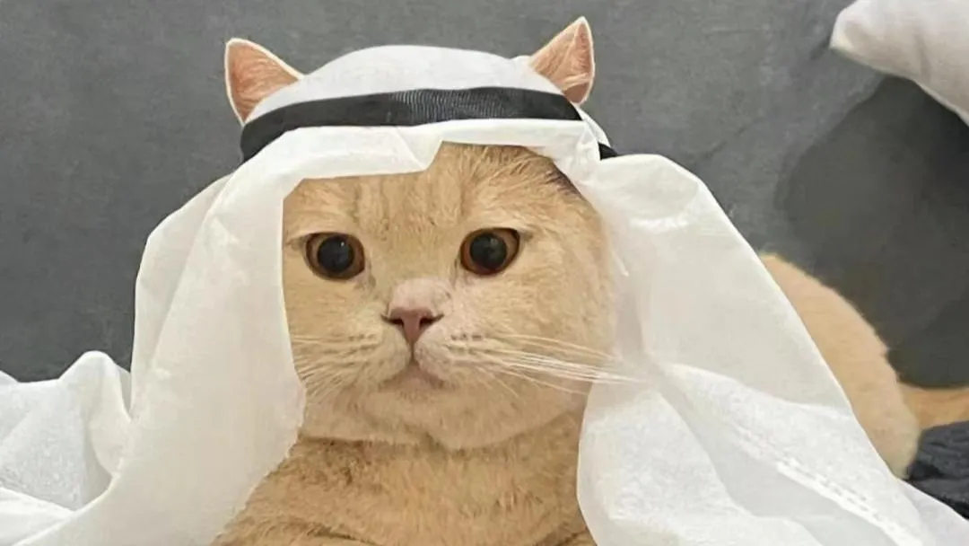 #沙特发现世界级金矿#让本就富裕的家庭，金上加金 ​​​