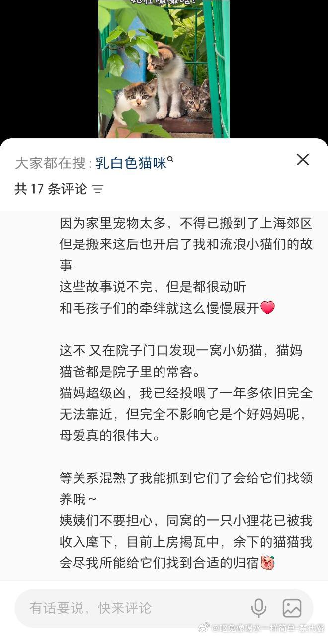 13572🐇【上海兔舍避雷】该兔舍投喂收养流浪猫并把猫放进繁育幼兔的房间长期投