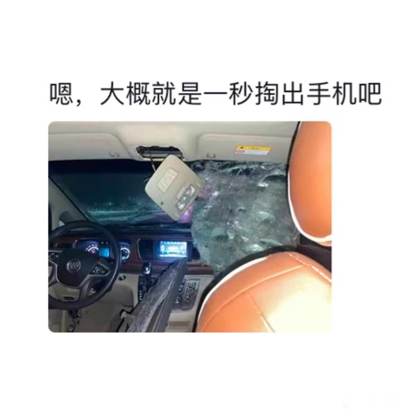 每个人都是事已至此先拍照吧