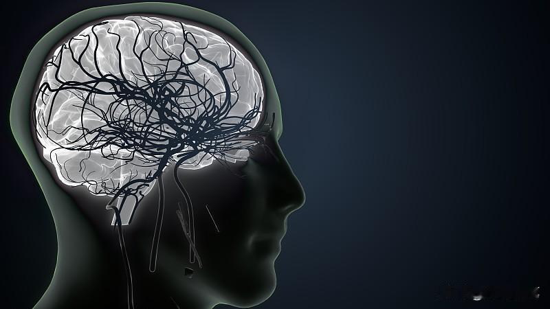 之前熬了大半年996之后，我连着半个月躺着都心慌，去医院查了一圈指标全正常，最后