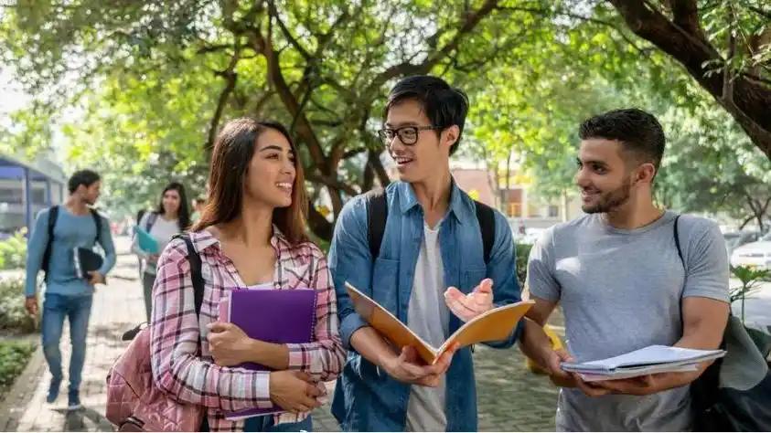 澳洲留学市场退潮：中国学生申请降 25%，百万学费还值吗？
2026 年一场前所