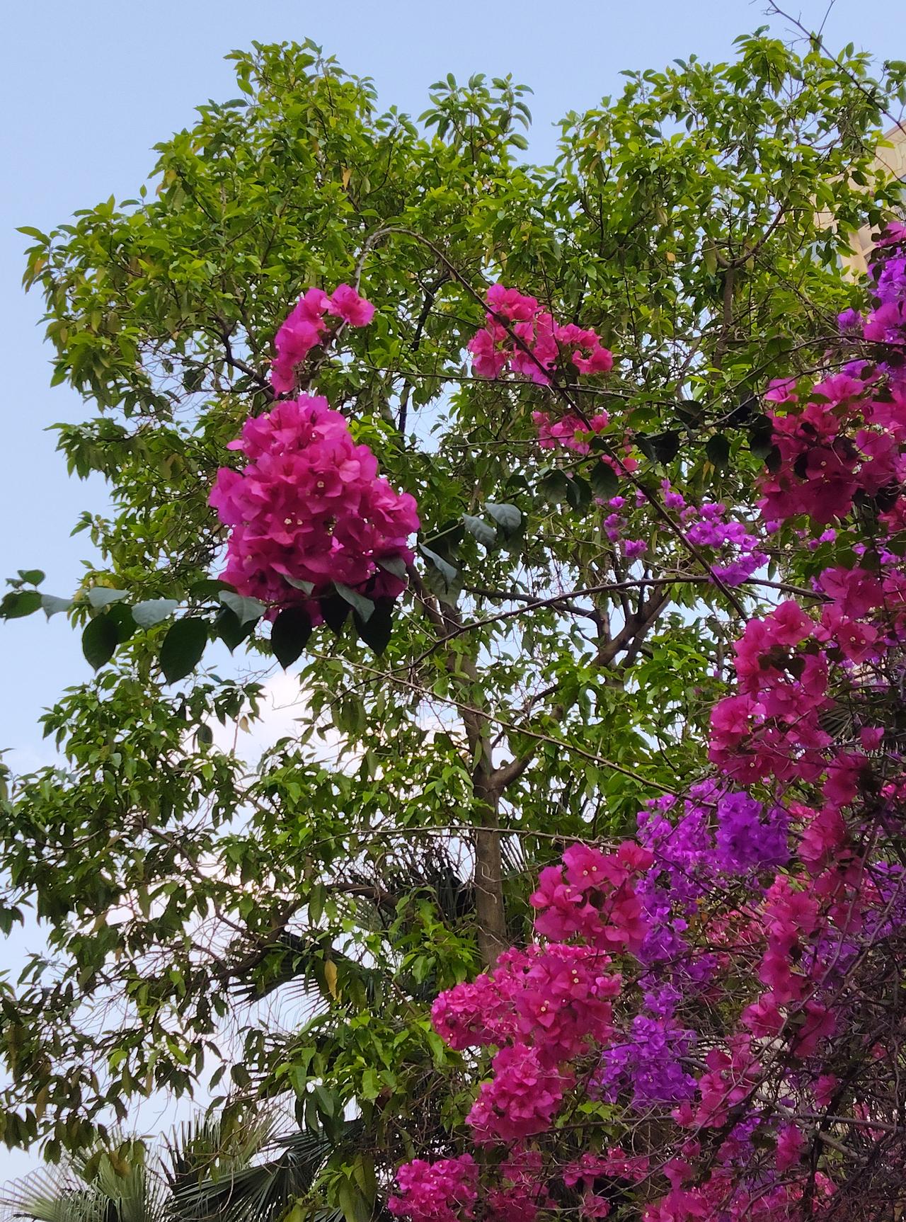 有位情感专家说：“夫妻没有绝配，没有天生合适，只有温柔和让步。
一颗体贴的心，是