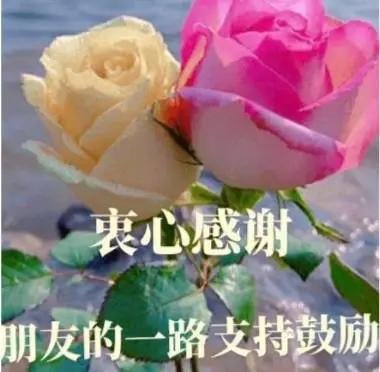 A1小云雀的确功害，快来看看吧
            微头条
我以前不太喜欢A