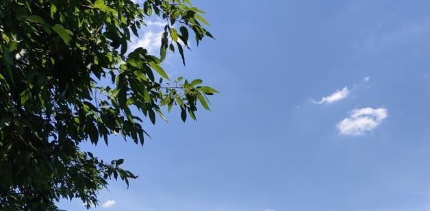 亲家见面,该谈些什么?有什么要求，事前让孩子们通好气，平等，和气，有争执可以搁置