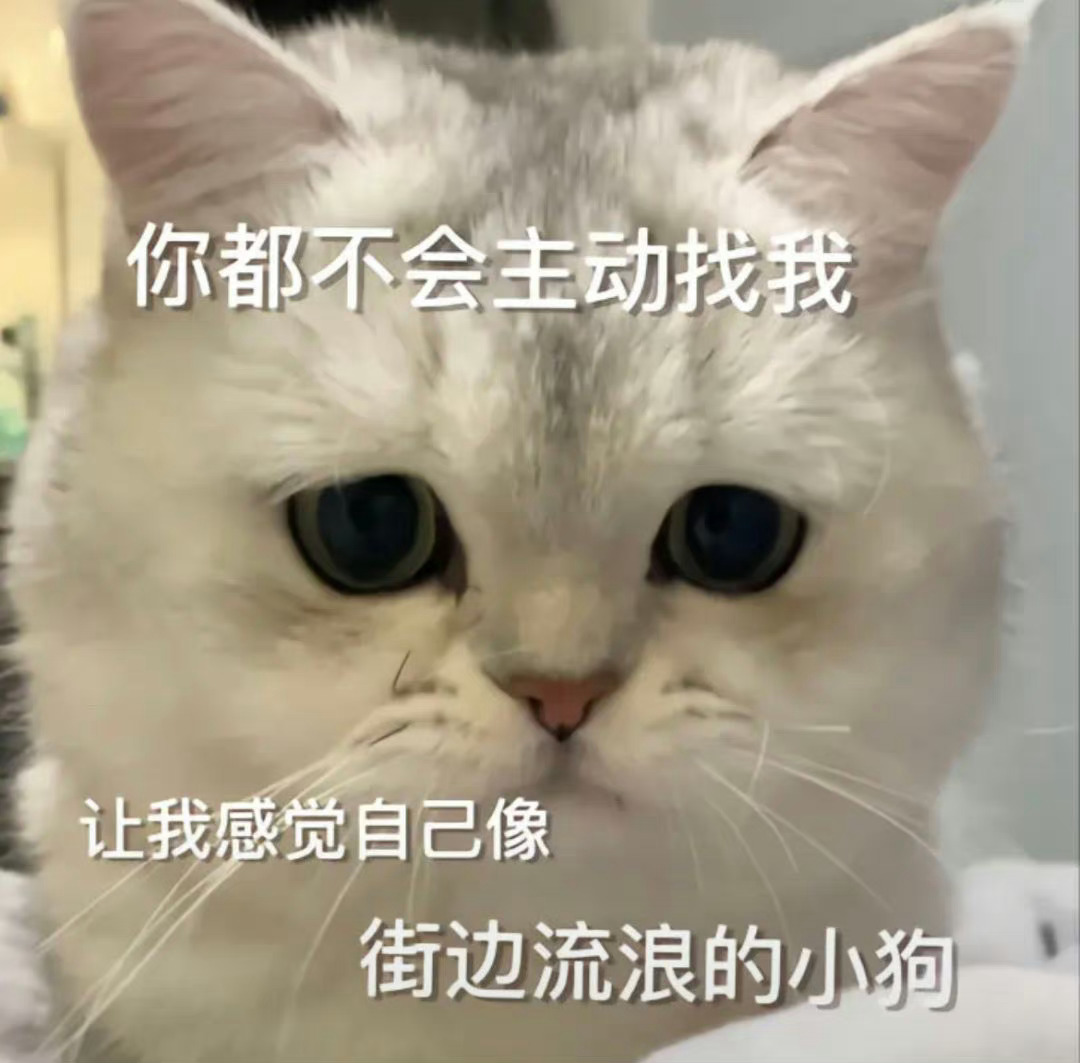 存点表情包