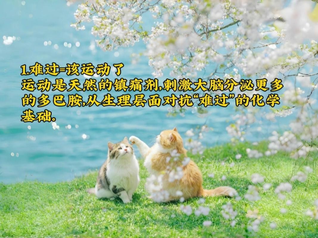 你的身体比你更爱你自己~

1.难过=该运动了
运动是天然的镇痛剂，刺激大脑分泌