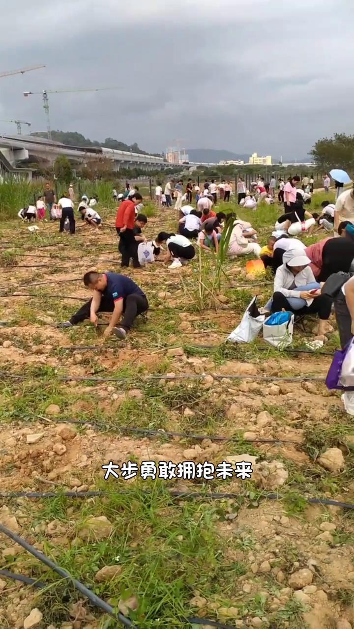 太阳升起来，鸟儿喝起来，蓝天白云多自在。大家笑开怀，烦恼都走开。希望在等待，听爸