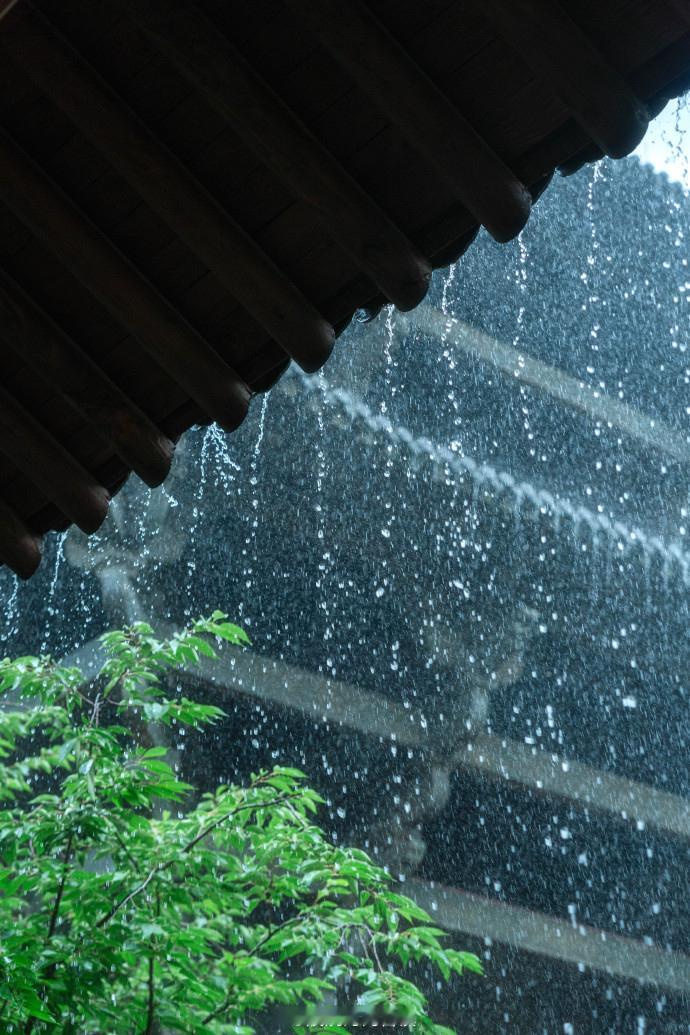 国香 · 旧雨通酬

旧雨通酬。笑红尘暮晚，春水含幽。少年独闻 花事，踏舞乘舟。