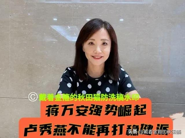 蒋万安很受支持者期待！
尹乃菁深度分析：卢秀燕老打稳健牌，蓝营支持者都急了，而蒋