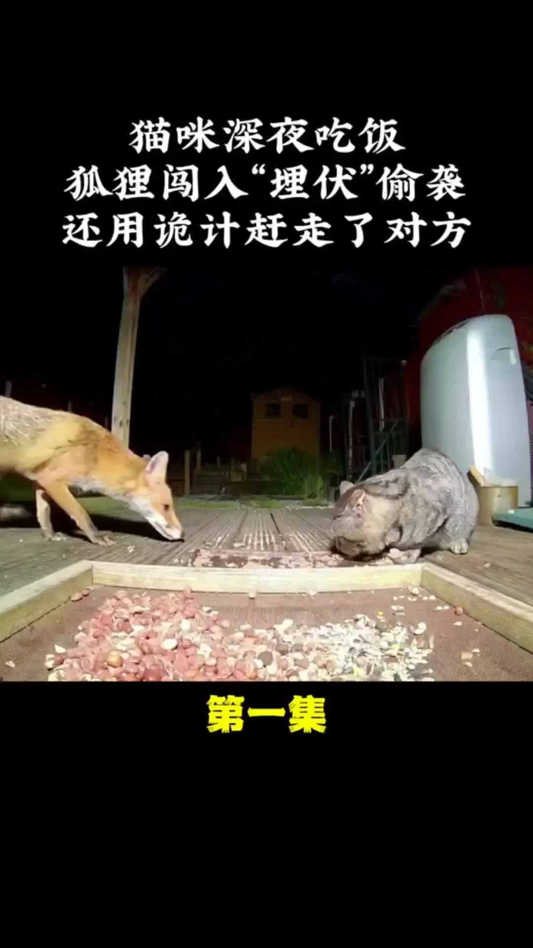 内容启发搜索 动物世界