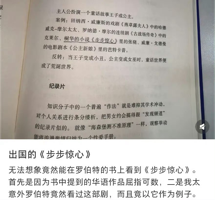 罗伯特麦基的《人物》里居然提到了刘诗诗主演的大爆剧《步步惊心》，书中提到的是张晓