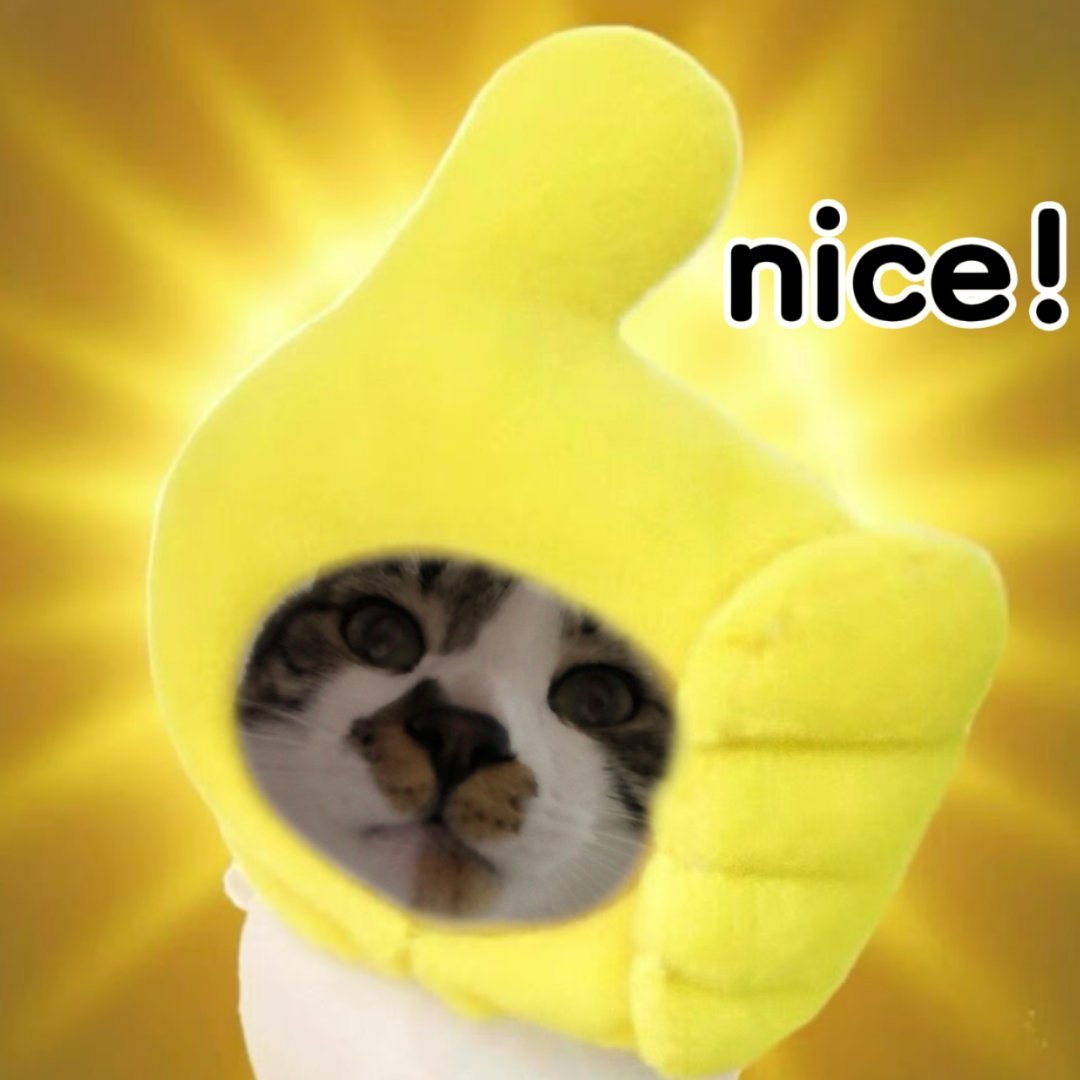 签到签到签到签到明天得整点麻辣烫吃，不然遭不住了           