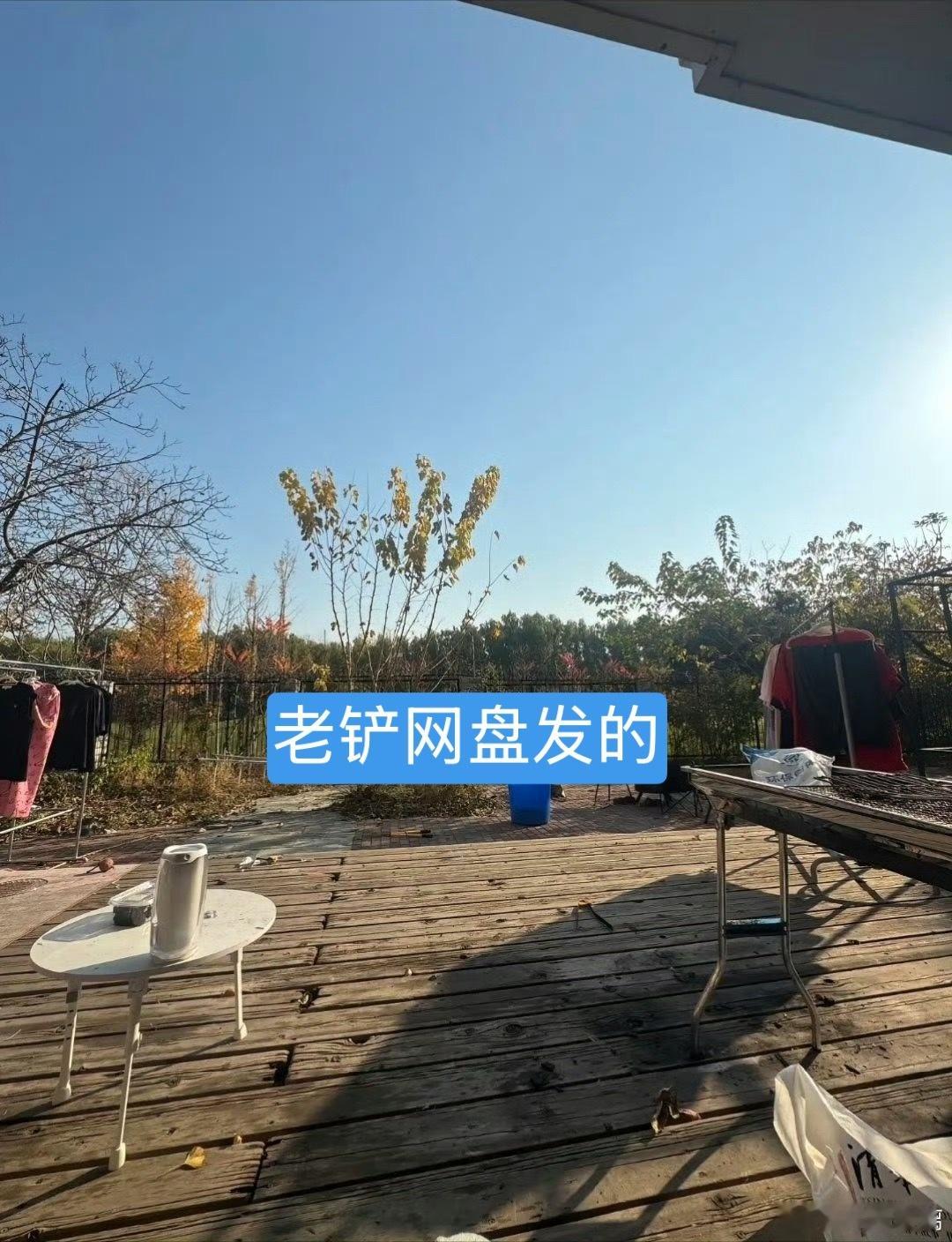 老铲和ss的区别是？ 