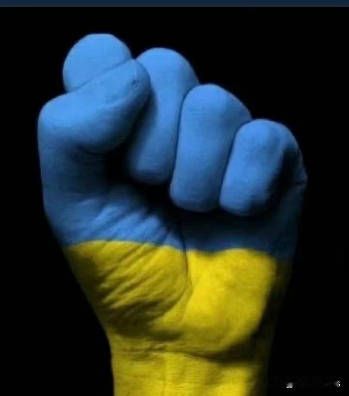 得道者多助失道者寡助
乌克兰捐款平台收到大量来自中国等国的民间捐款
2025年，