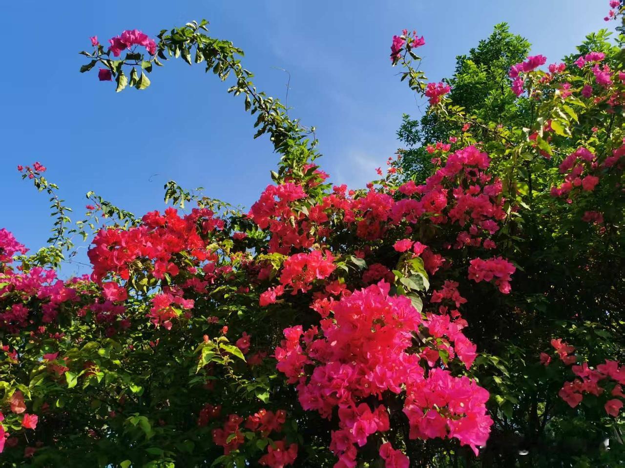 风风雨雨风雨相伴，
坎坎坷坷坎坷同行。
友友请展示下联 友友请下联 对下联 友友