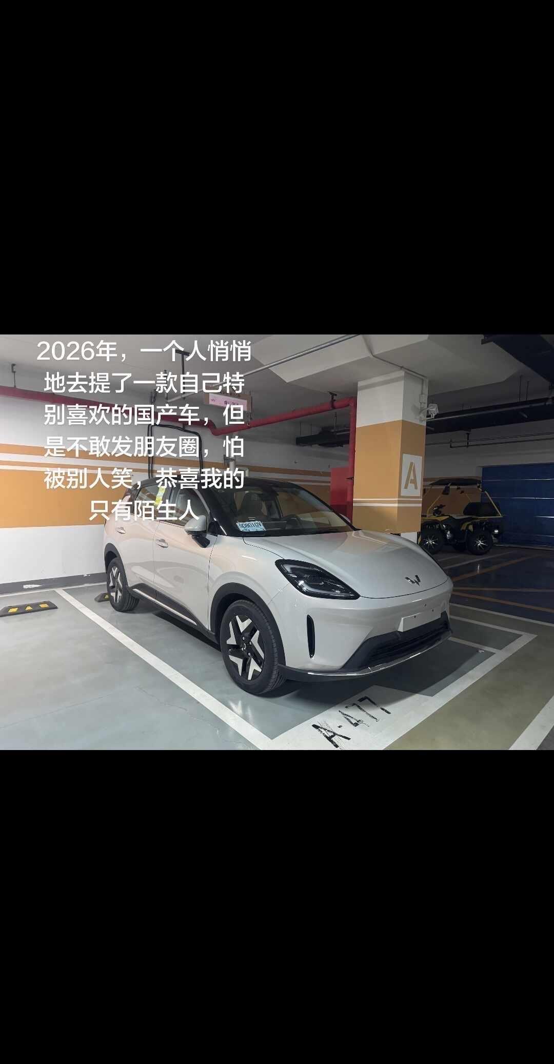 2026年，一个人悄悄地去提了一款自己特别喜欢的国产车，但是不敢发朋友圈，怕被别