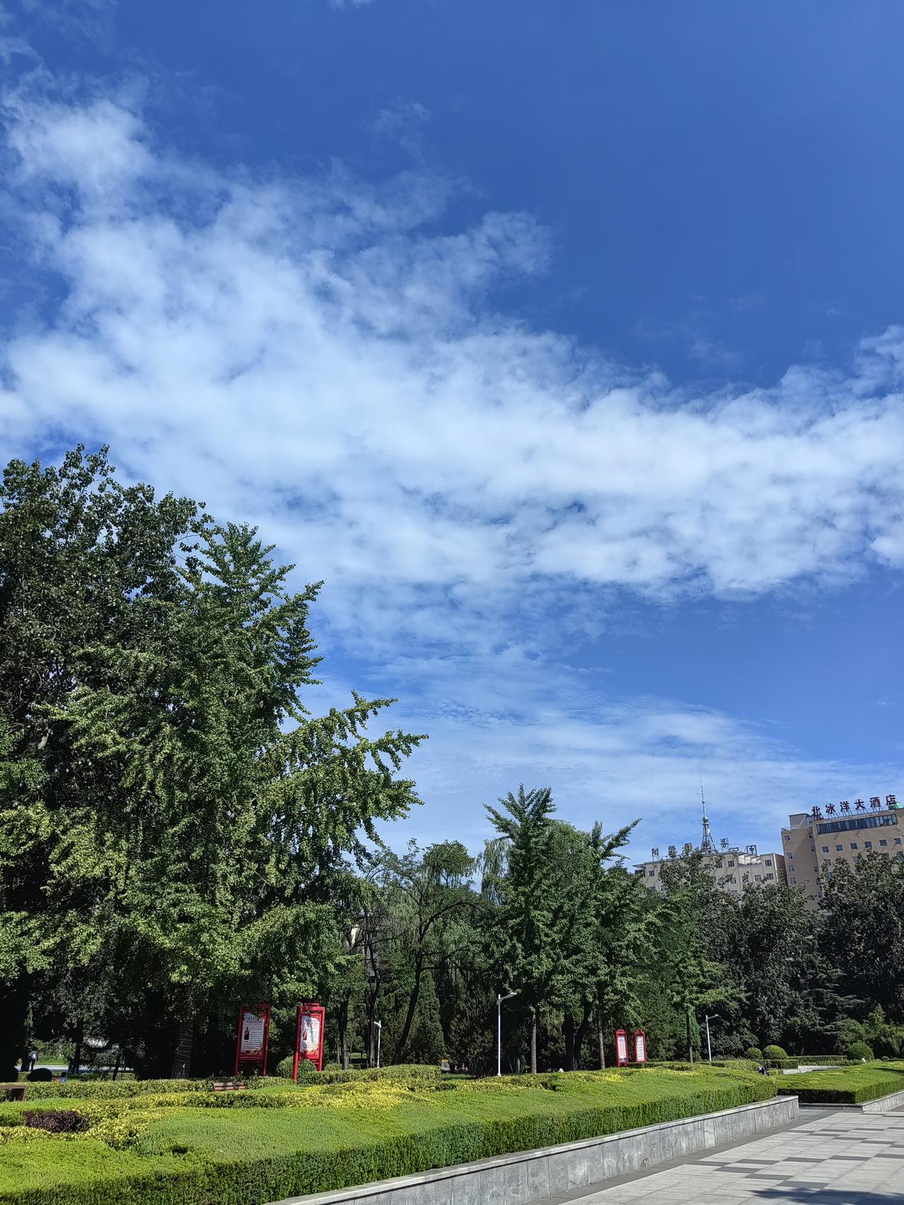 阳泉的大雨总是赶在午餐时分降临。一小时前还艳阳高悬，晌午时分，乌云便悄然聚集，大