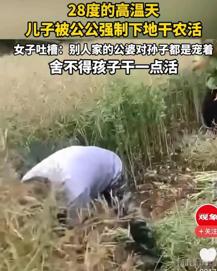 2026年5月10日，湖北 28 度高温天，62 岁公公逼 14 岁孙子下地割油