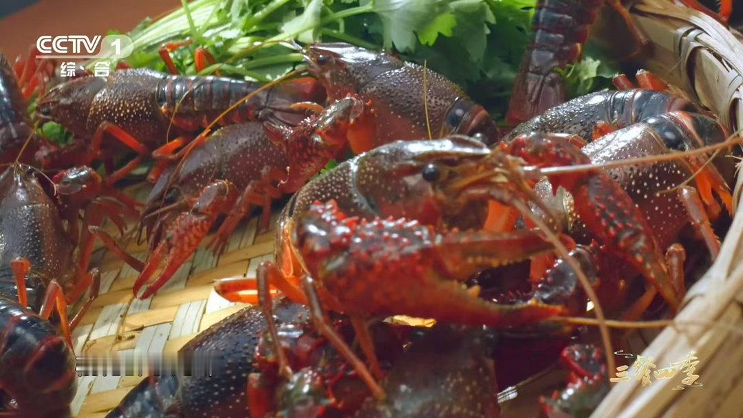 夏天夜宵三件套麻辣十三香蒜蓉小龙虾首选哪个 咸蛋黄小龙虾是异端还是宝藏？我站宝藏