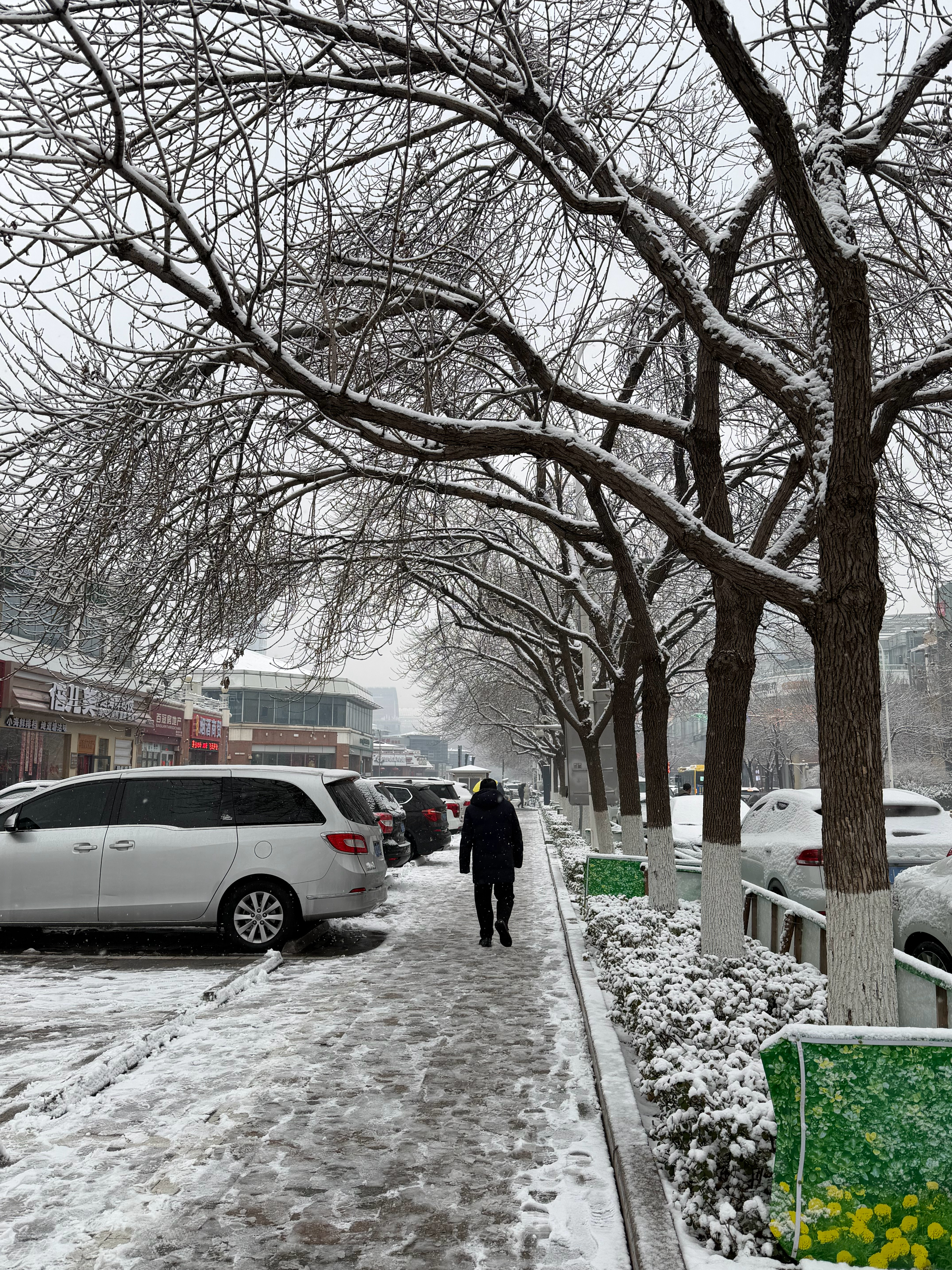 瑞雪兆丰年雪后的天津好美 天津