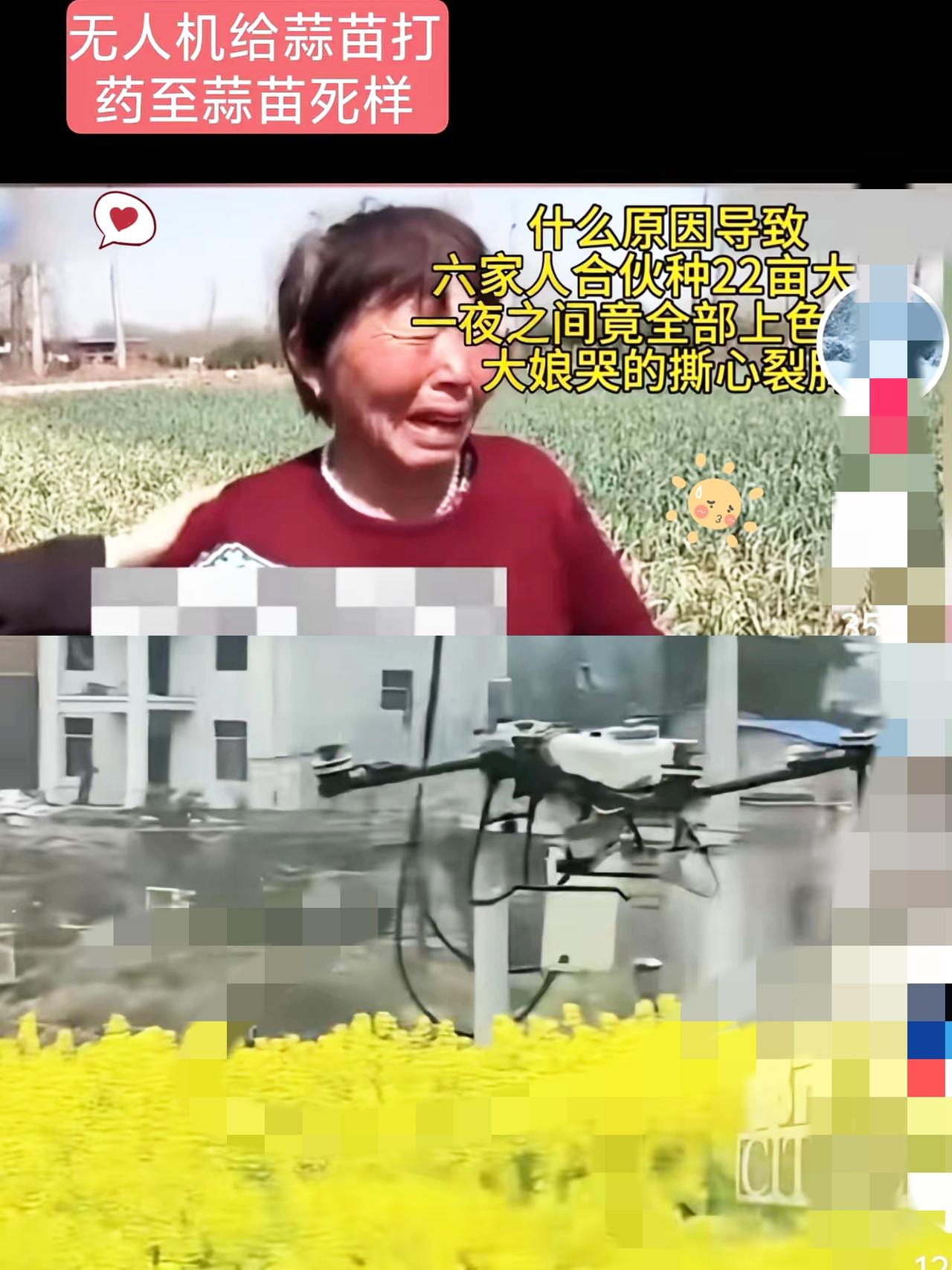 最近农村怪事接连不断，看着真让人揪心。无人机给油菜打药，蜜蜂成片死亡；

给蒜苗