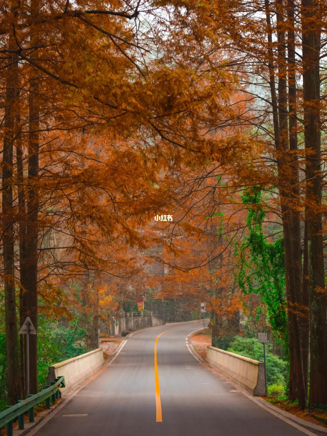 成都周边1小时，最美公路拍照绝绝了‼️