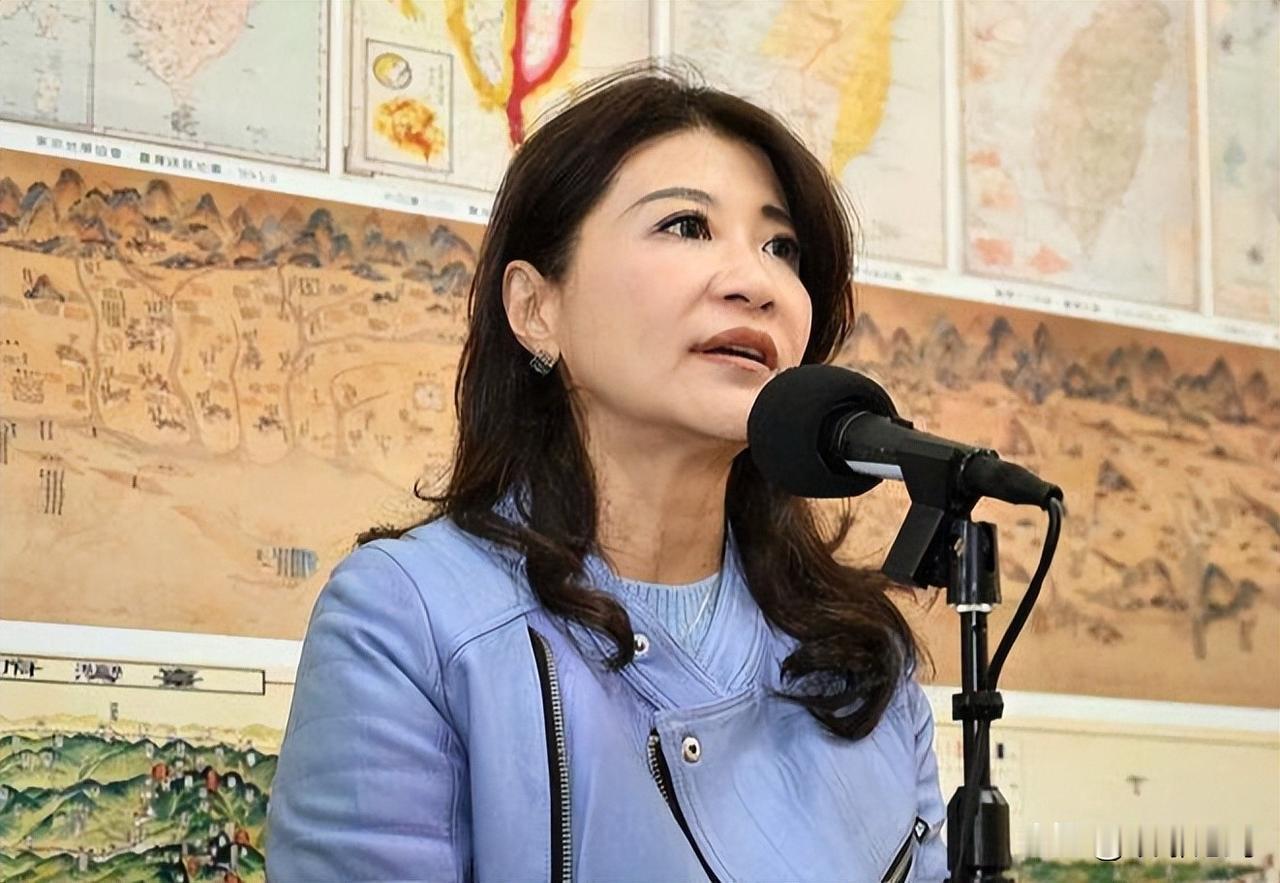 民进党民代林楚茵歪曲我方主权论述，这番刻意抹黑言论藏着什么算计？


林楚茵公开