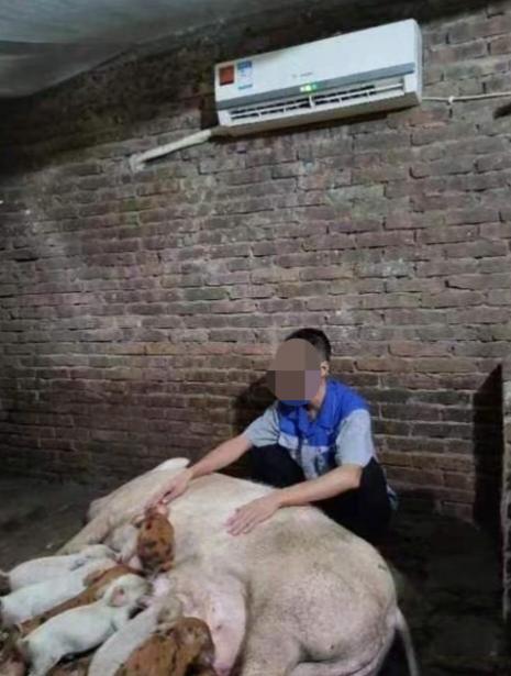 新鲜事儿！中国给猪吹空调，把欧洲网友整破防了？这波赢麻了！

这两天欧洲热炸了！