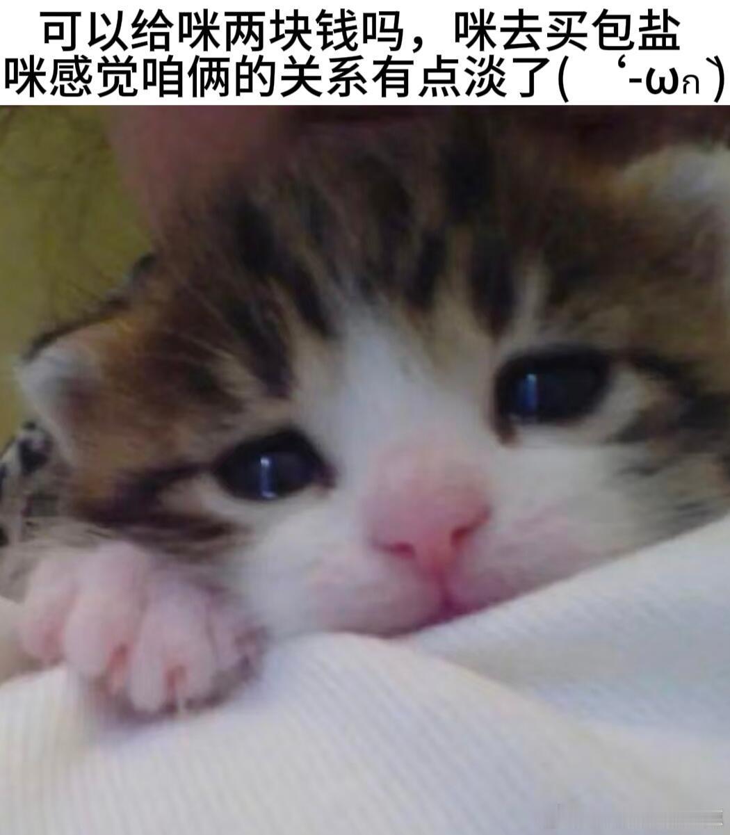 醒来不回咪消息你胆子真是肥嘟嘟的[便便] ​​​