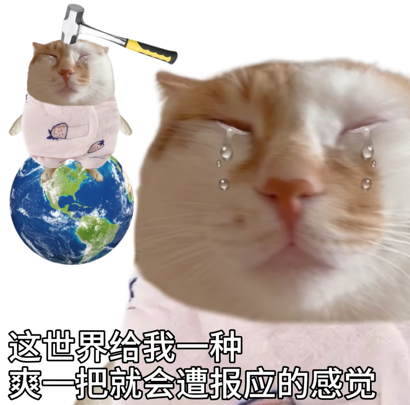 像我这种老实人做好事从来没回报 做一丁点坏事立马就有报应 ​​​