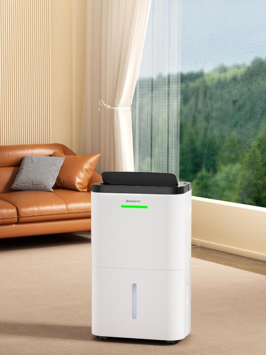 南方人怒吼❗百斯腾早出5年，立省10万！