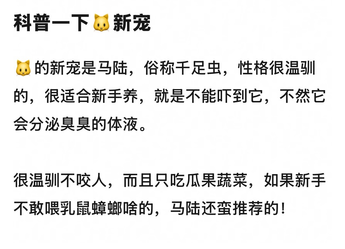 看起来还不错呢！ 