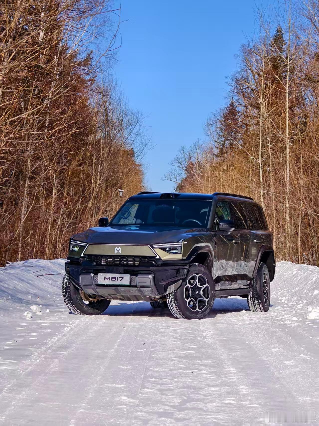 雪地里撒野的快乐，是猛士M817 给的！华为乾崑 智驾加持，雪地稳如平地，东北的