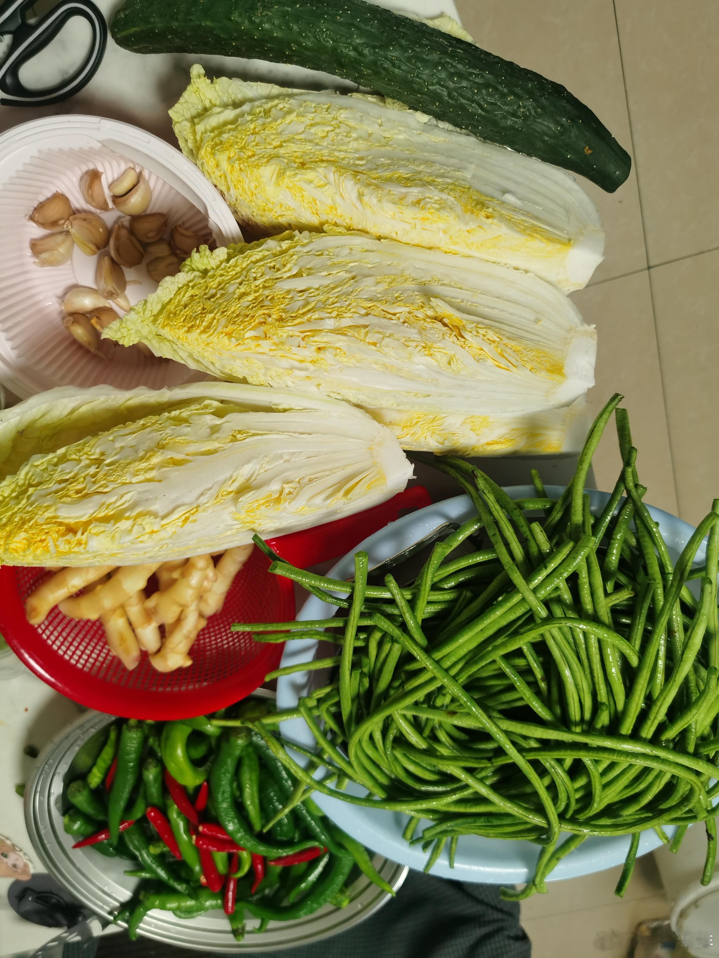 晚上做泡菜。 